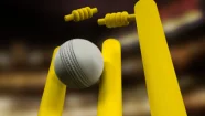 Online Cricket Gaming
