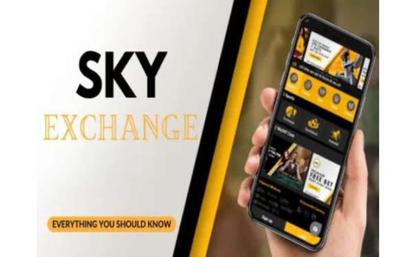 online cricket id IPL Live Bet, online cricket id, betwinner id, dafabet id, fairplay id